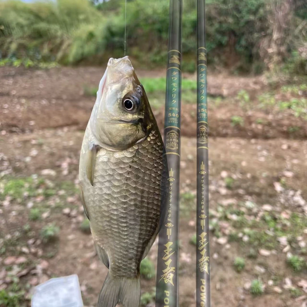 钓鱼神器两根高端短节手杆无赠品4.5/5.4鱼竿