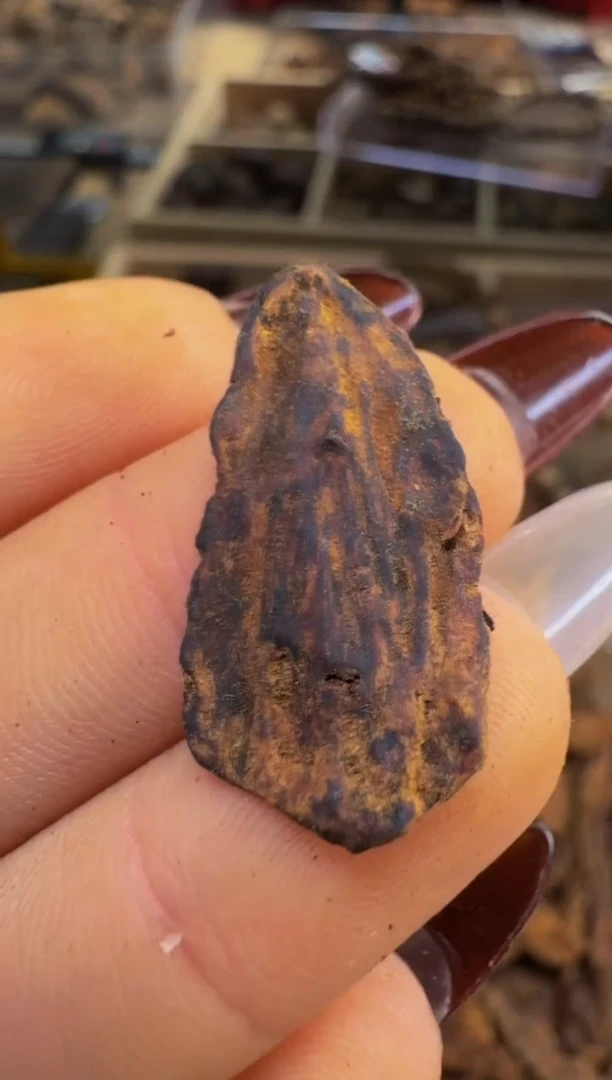 【闪购商品】沉香吊坠越南惠安红土