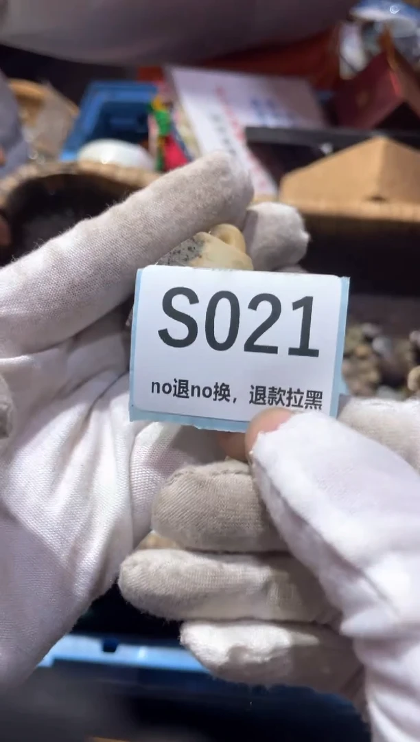 瓷片平*东轩直播链接火爆火爆