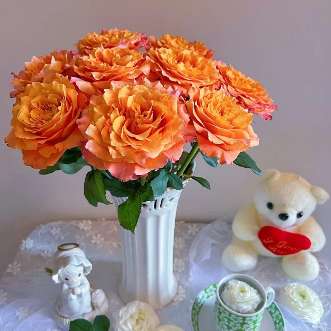 （火灵鸟-单头玫瑰）玫瑰云南基地直发生活鲜花