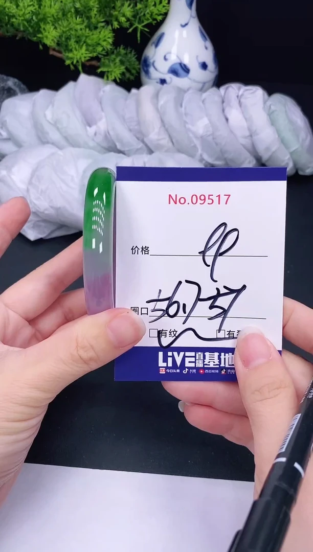 未镶嵌手镯翡翠9517