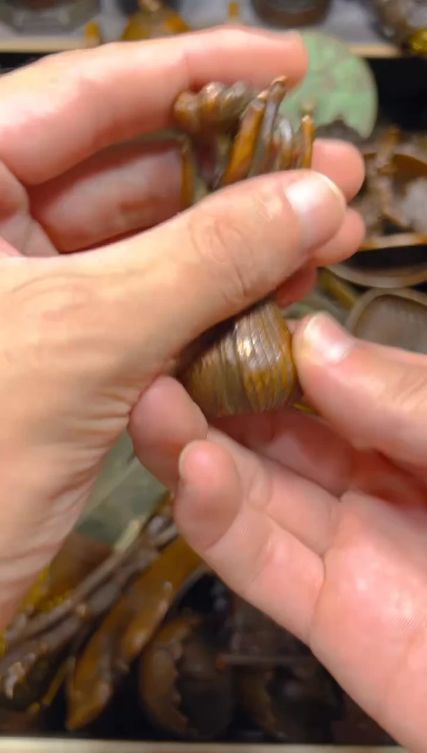 点击链接下单即可