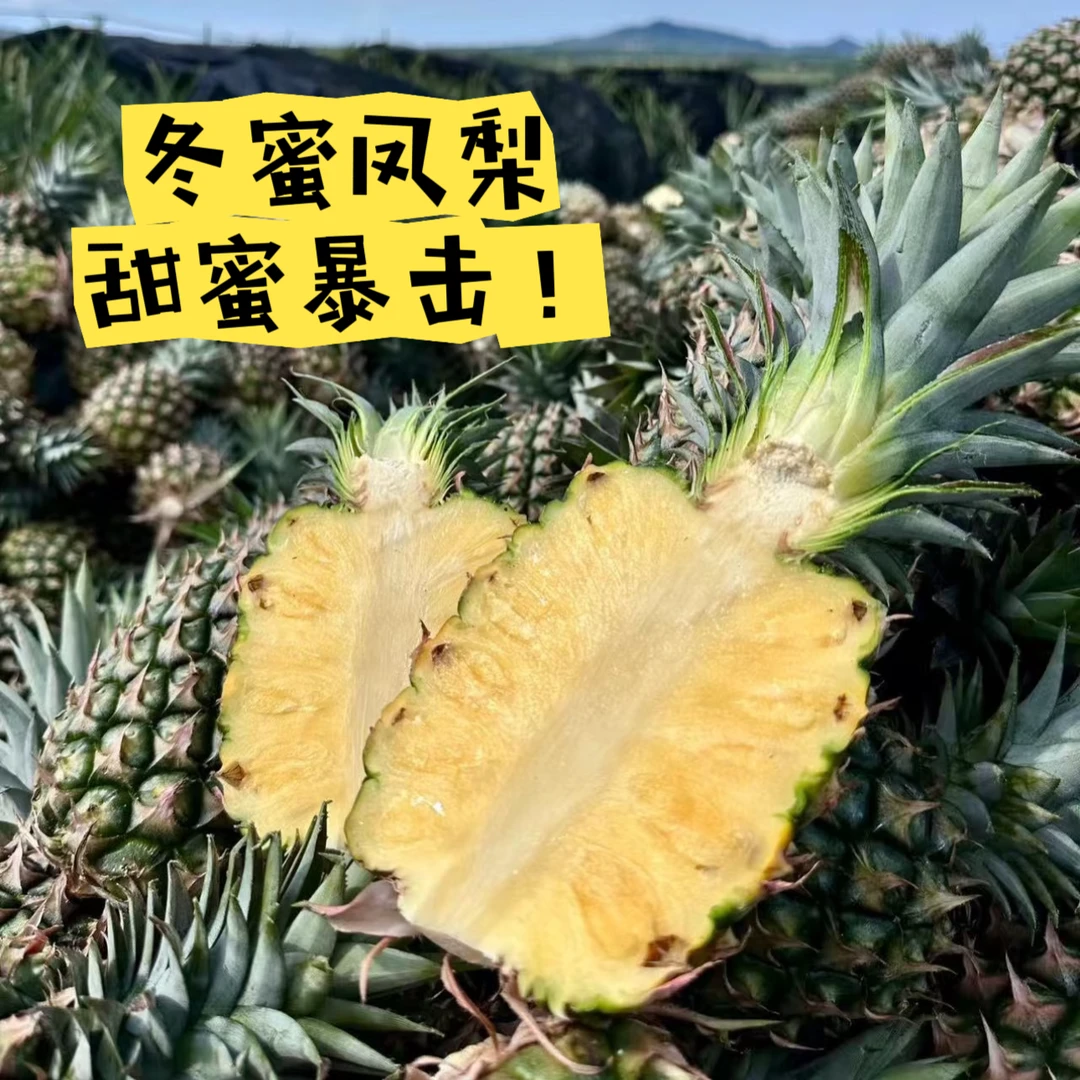 【纯甜】海南冬蜜凤梨火焰山凤梨纯甜无酸自然树上熟金钻凤梨水果