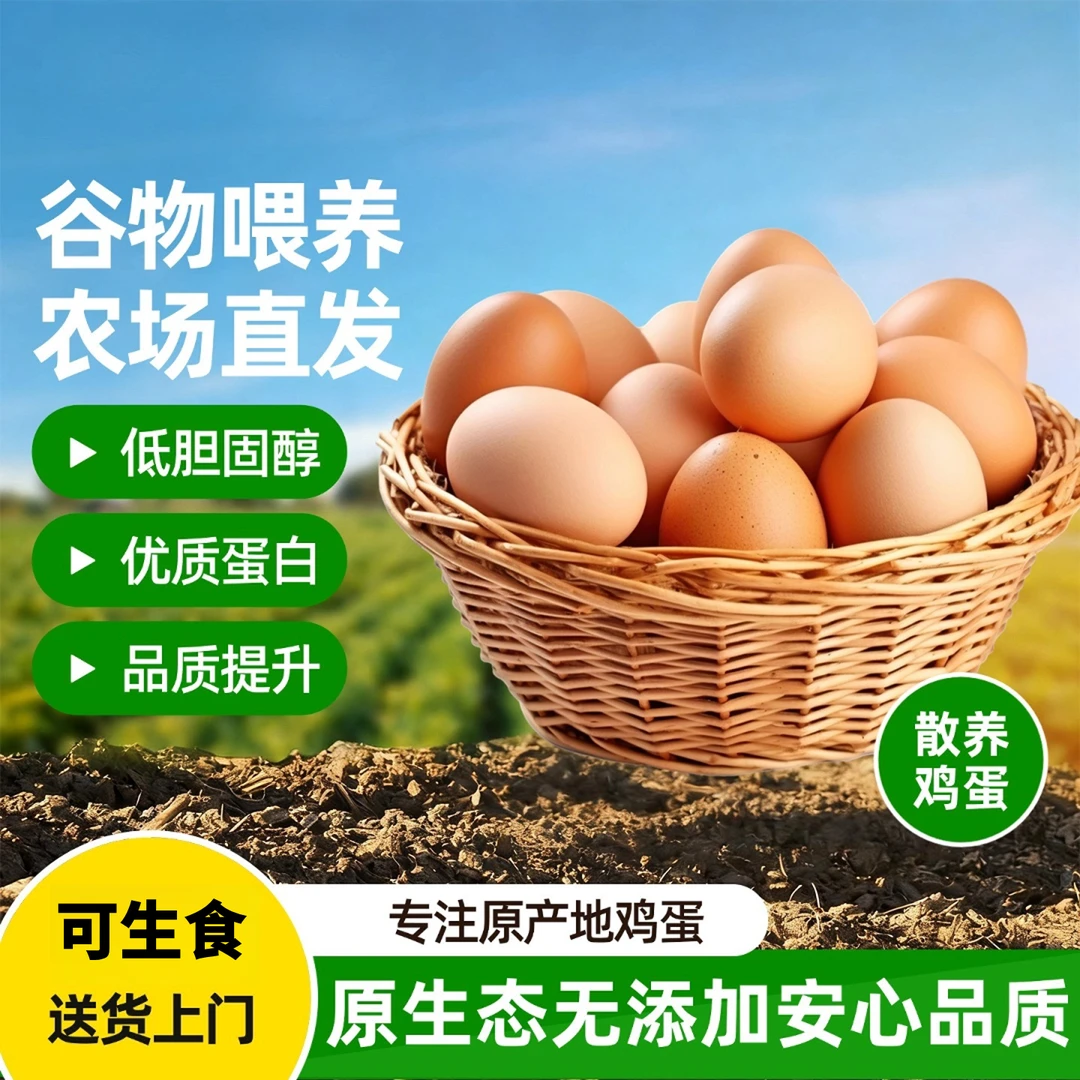 正宗农家可生食无菌土鸡蛋新鲜谷物鲜蛋健康营养现捡现发谷物喂养