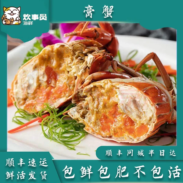 十只肉质饱满 鲜活膏蟹2-2.5両/只 无膏无肉赔半只 新风港发货