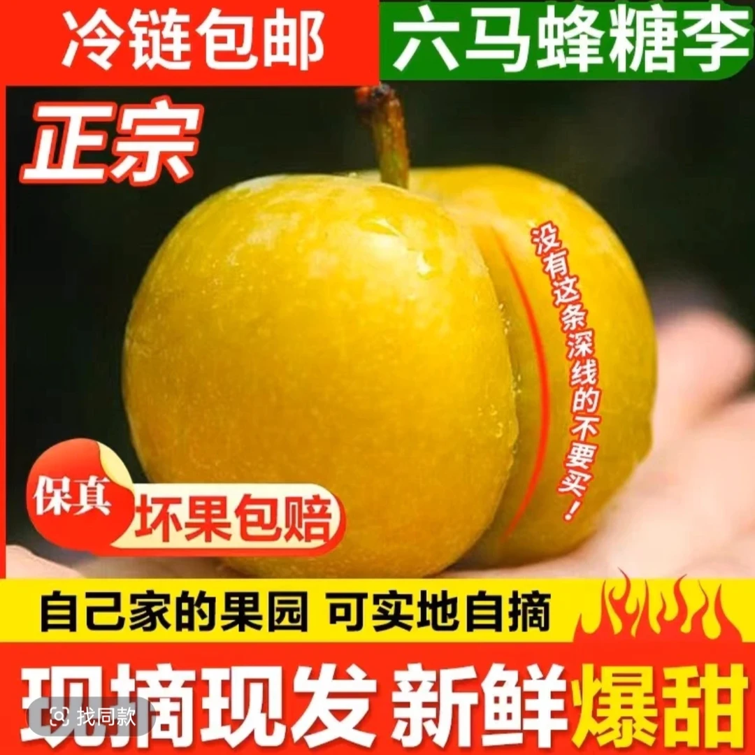 贵州镇宁六马蜂糖李新鲜应季水果脆甜脱骨多汁