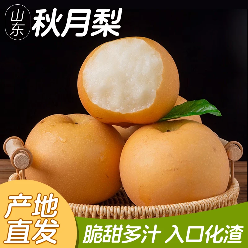 正宗山东秋月梨脆甜多汁清甜应季水果产地直发秋月梨细嫩化渣