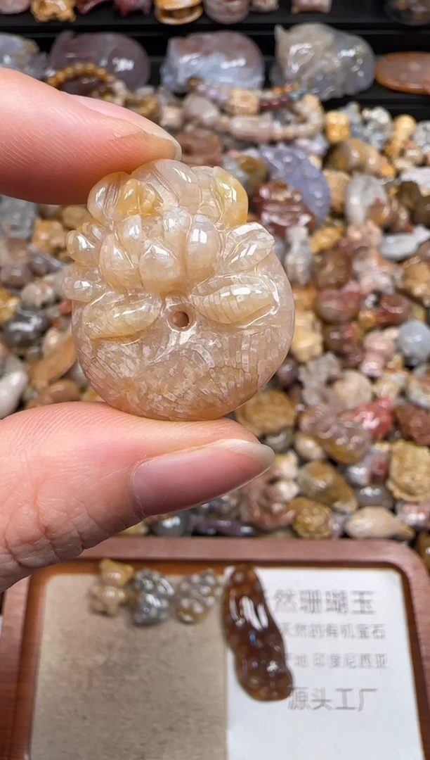 硅化珊瑚（珊瑚玉）未镶嵌颈饰175