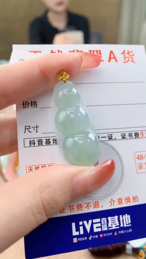 颈饰未镶嵌翡翠天然A货翡翠挂件