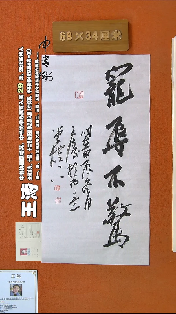 【闪购商品】书法299王涛书法作品