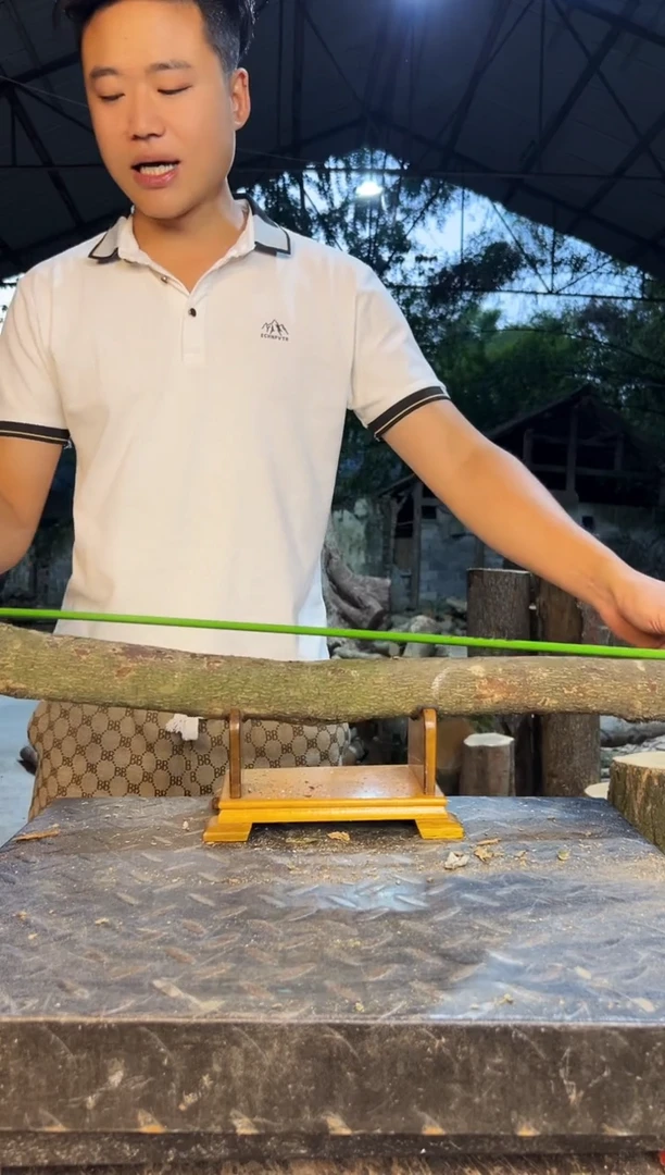 四川小叶桢楠金丝楠
