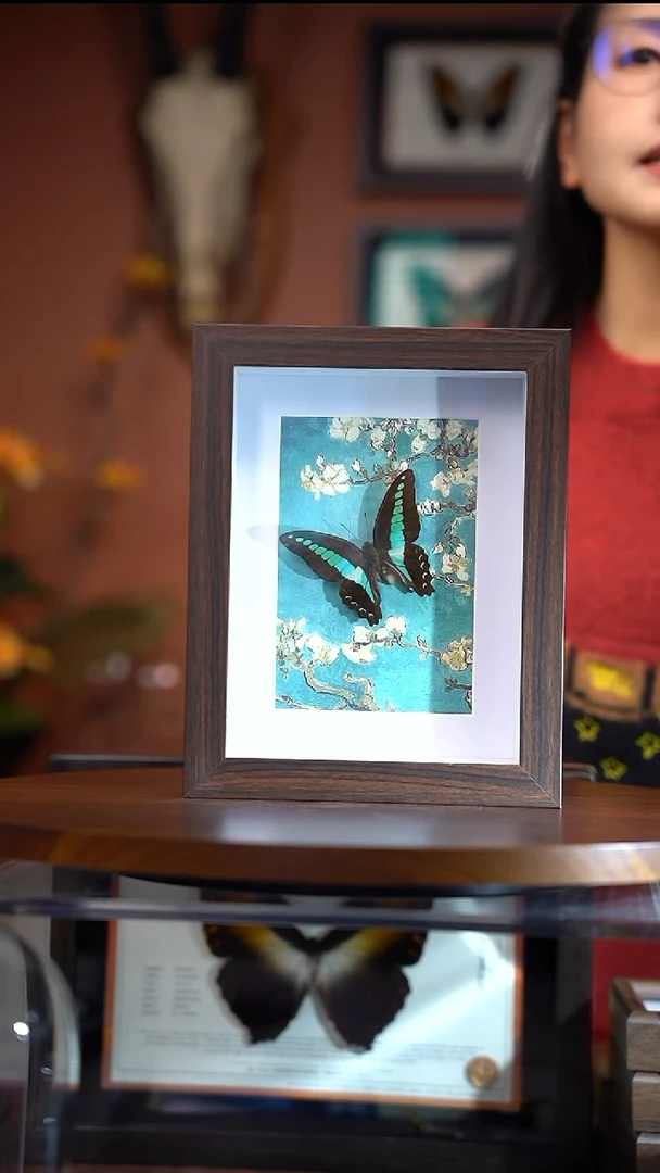 青凤蝶    8寸 复古相框    常规