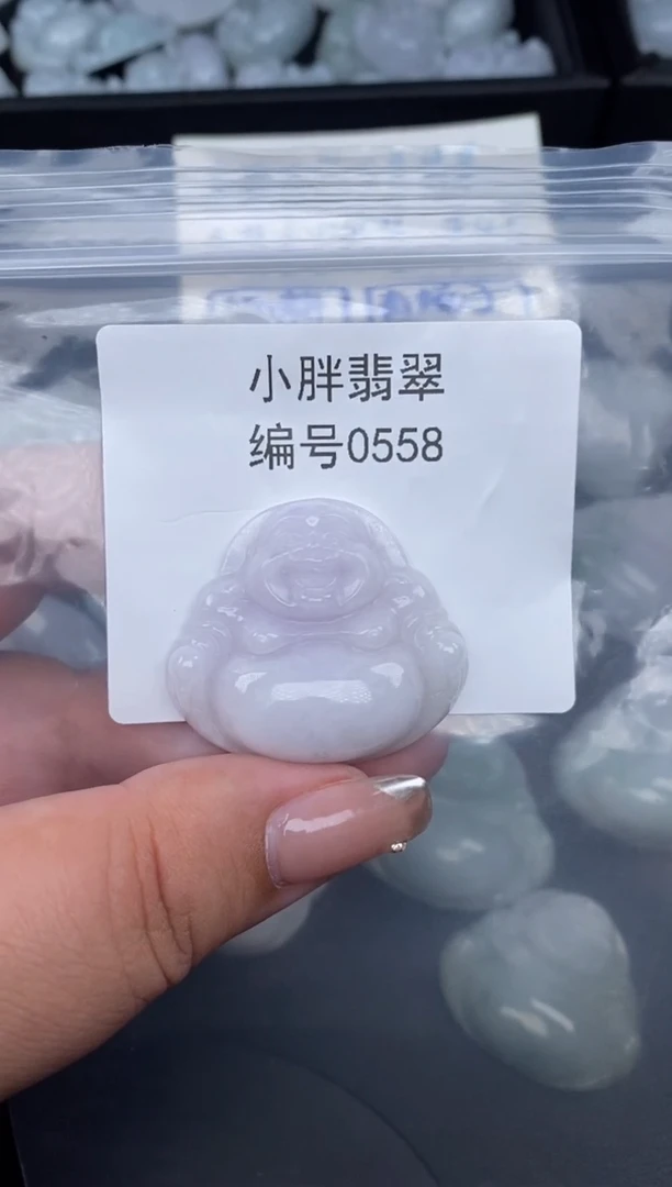 翡翠未镶嵌颈饰缅甸天然A货翡翠0558