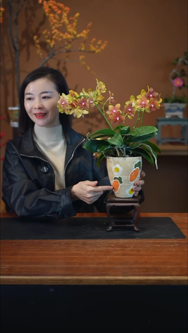 全部花朵橘子汽水盆景