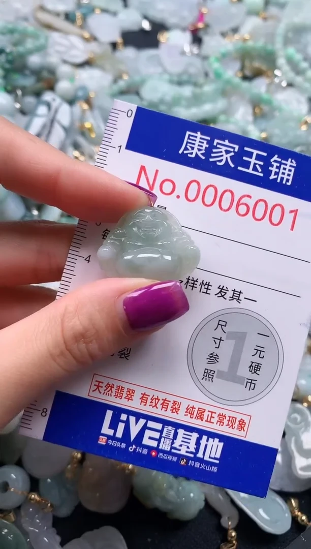 颈饰未镶嵌翡翠6001