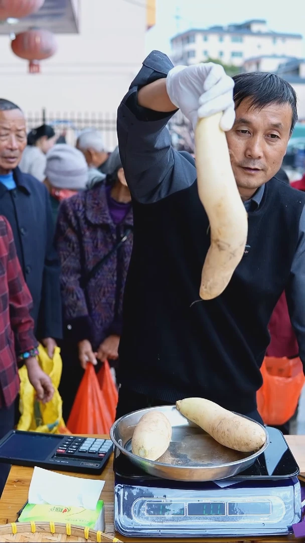 中国大陆农家白萝卜5斤