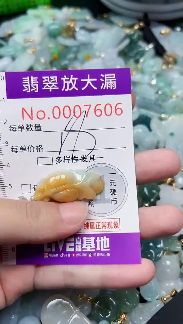 颈饰未镶嵌翡翠7606