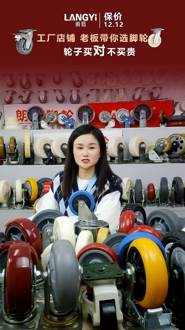 12号链接中型蓝轮4寸2定2万  1套