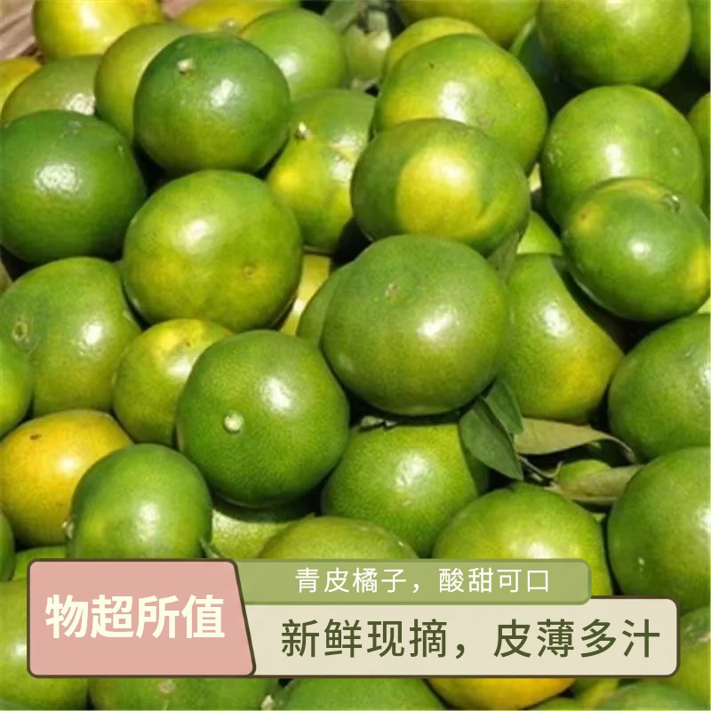 云南青皮蜜橘子新鲜水果无籽蜜桔子酸甜桔子皮薄肉多汁1/5斤包邮