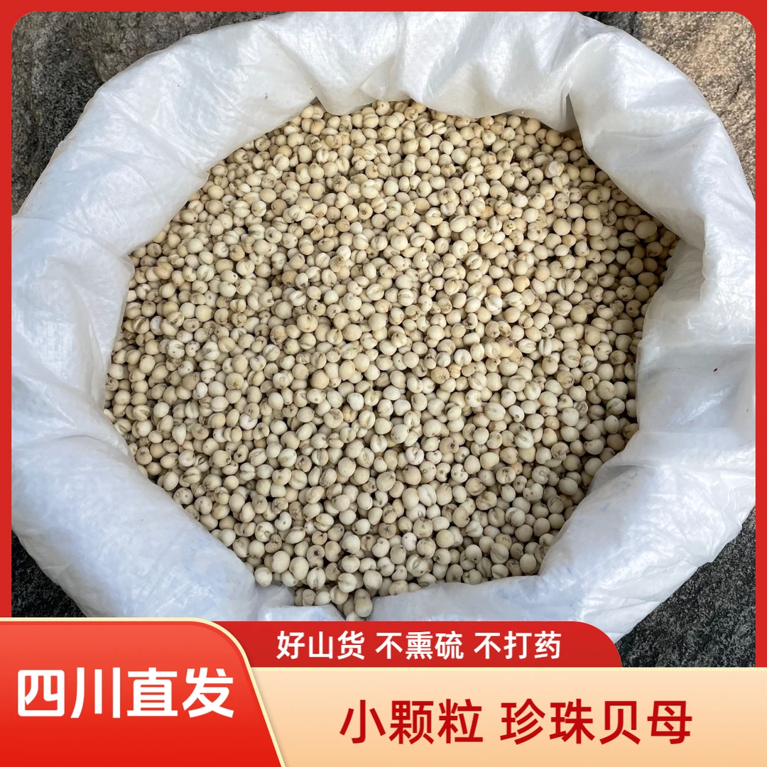 【珍珠贝】四川高山无硫小粒贝母煮水熬秋梨膏炖鸡炖汤