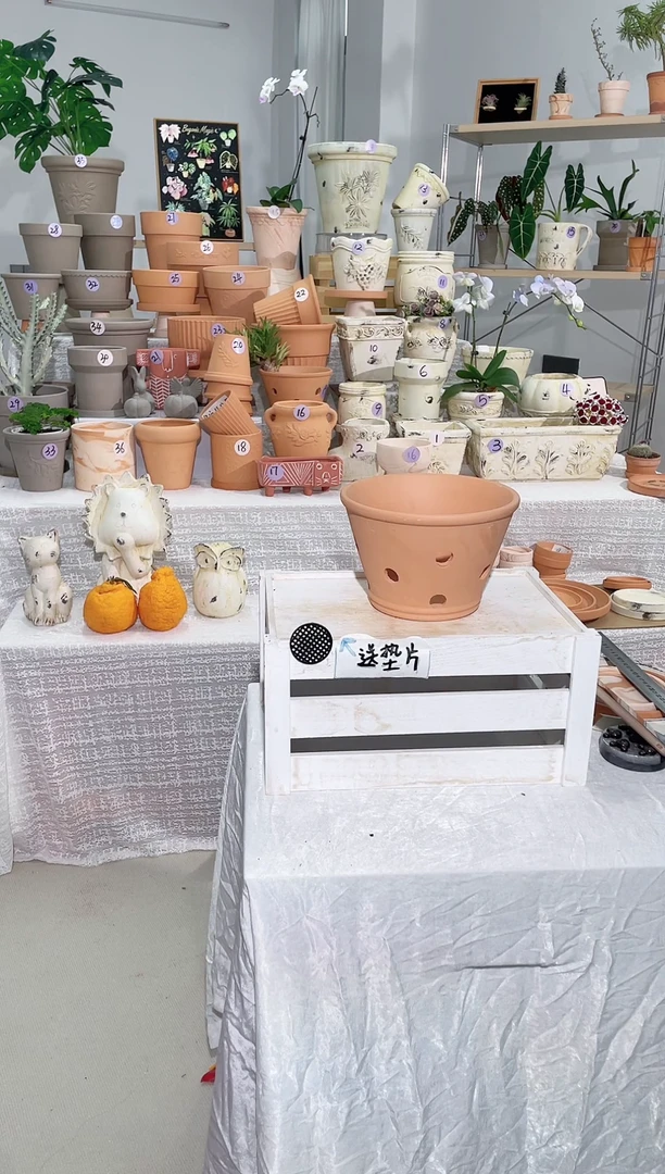 【闪购商品】陶2个无托红陶多孔异型盆口径20*高14 
