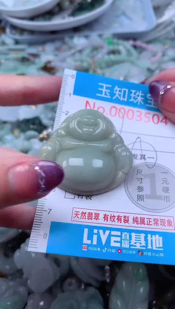翡翠未镶嵌吊坠(不含链)3504