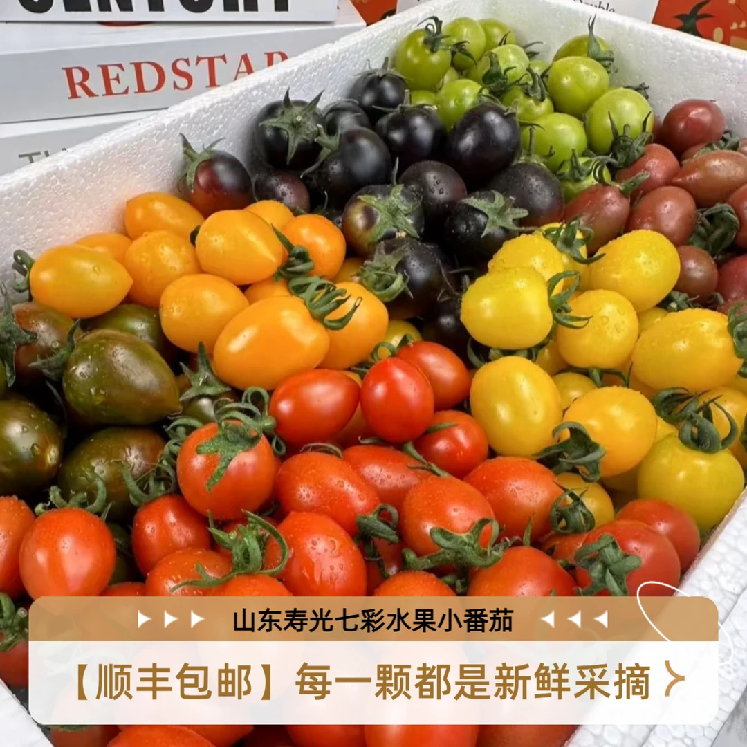 【顺丰包邮】新鲜采摘西红柿3色/7色多彩水果小番茄圣女果酸甜多汁