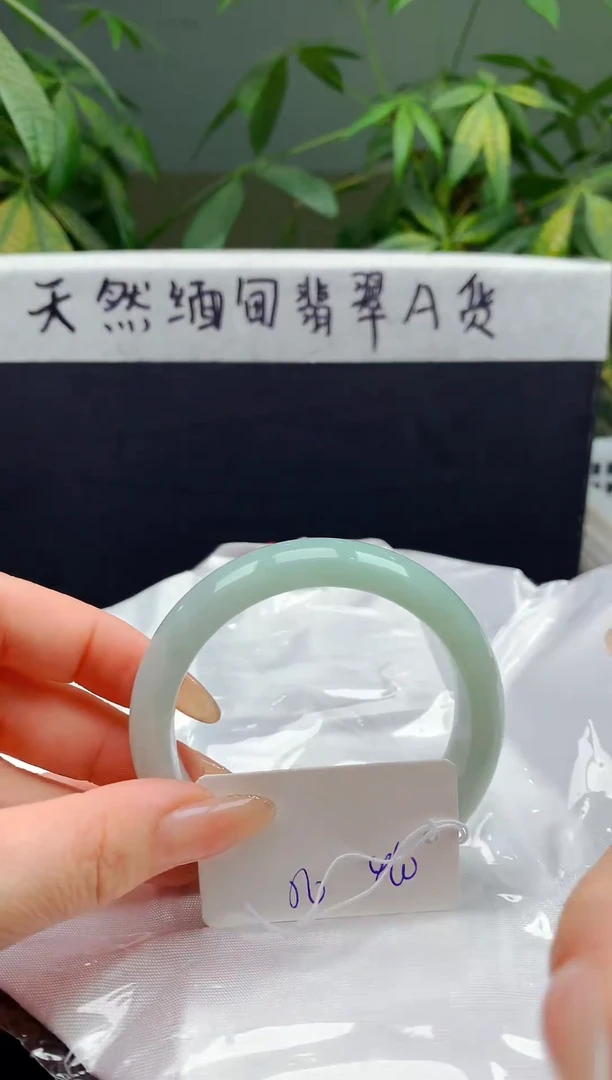 未镶嵌手镯翡翠132