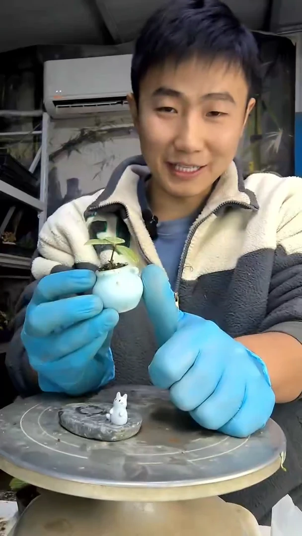 妈*猪中青园艺一物一拍花136