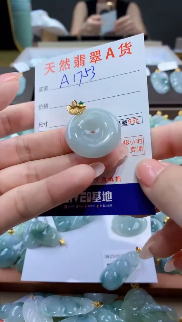 颈饰未镶嵌翡翠天然翡翠A货挂件