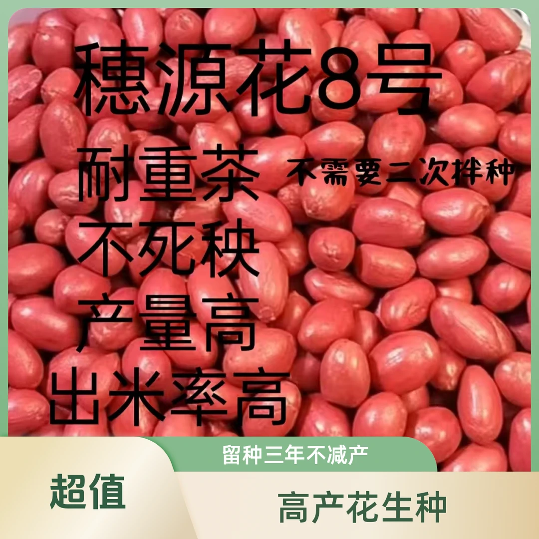 穗源花8号12斤不需要二次拌种留种三年不减产皮薄籽粒饱出米率高