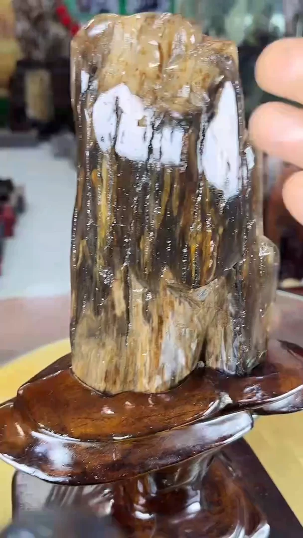 缅甸天然树化玉精品摆件