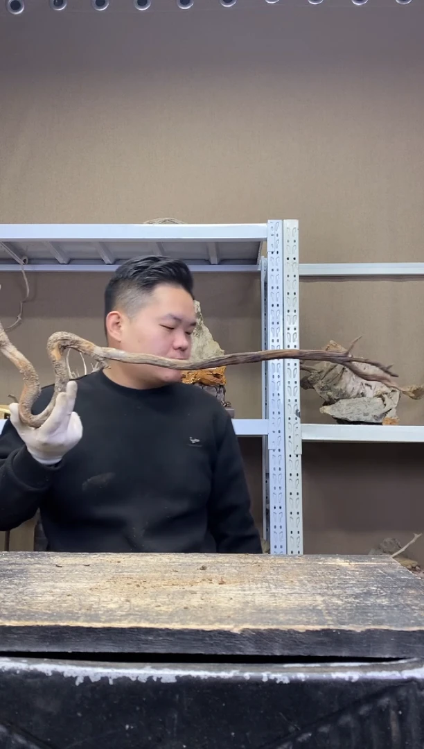 行**光行走阳光        30