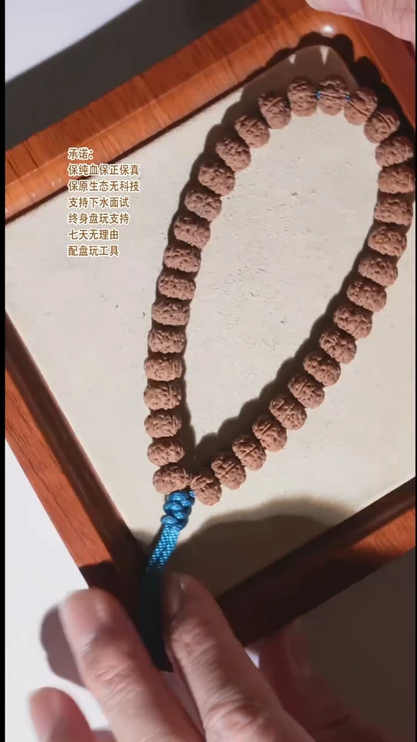 手串金刚菩提10mm限定款-特好飞碟孔道黄老树王原桩单圈