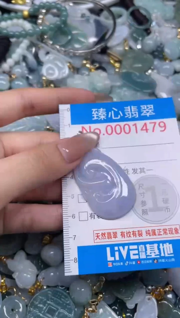 颈饰未镶嵌翡翠1479