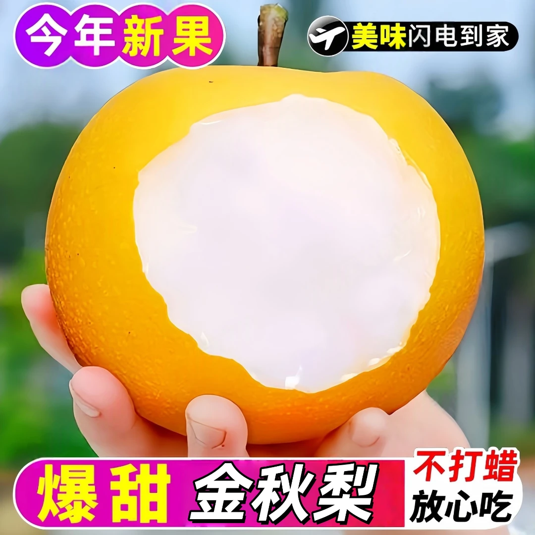 【中华好梨】正宗铁坡镇高山金秋梨脆甜多汁当季水果产地现摘现发