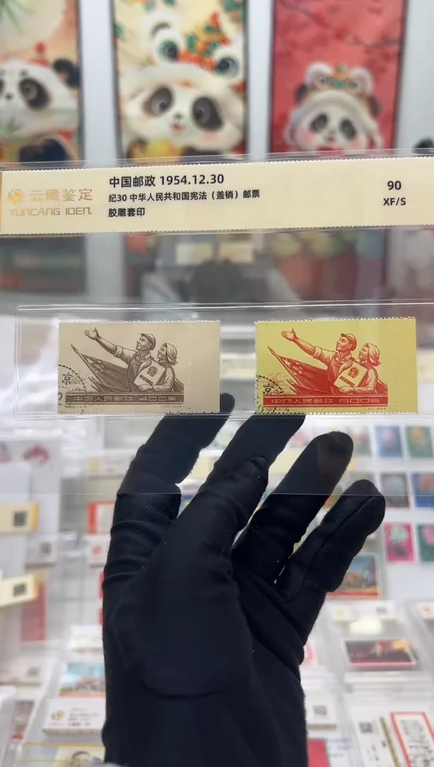 纪30 宪法 带右边