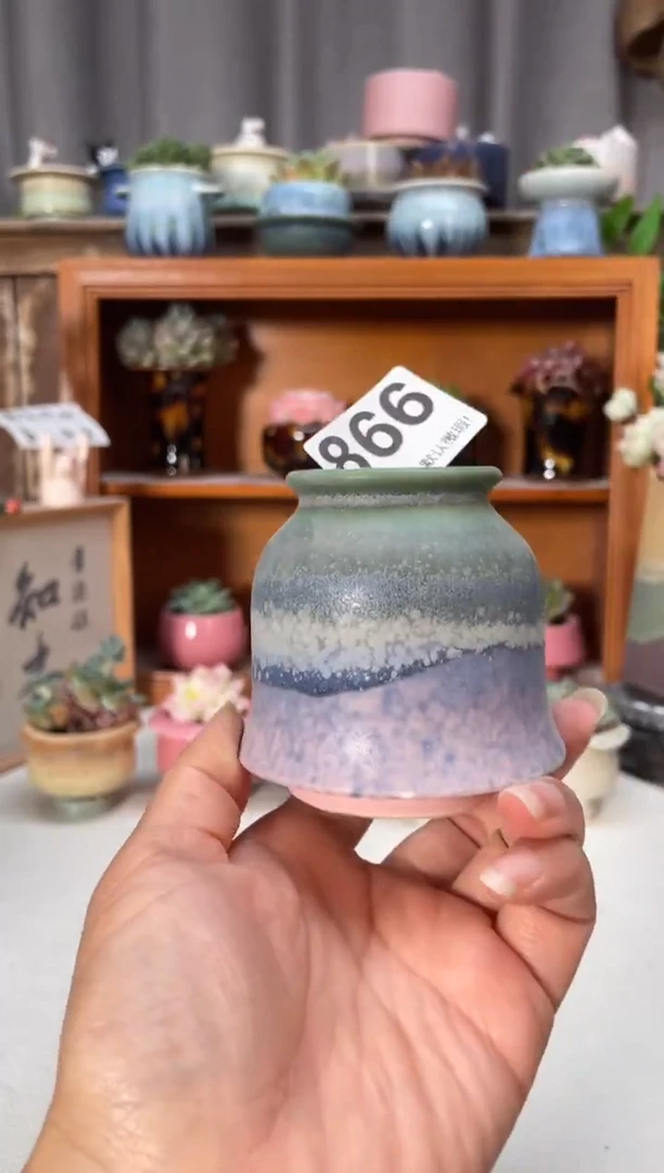 瓷片866小芳直播编号