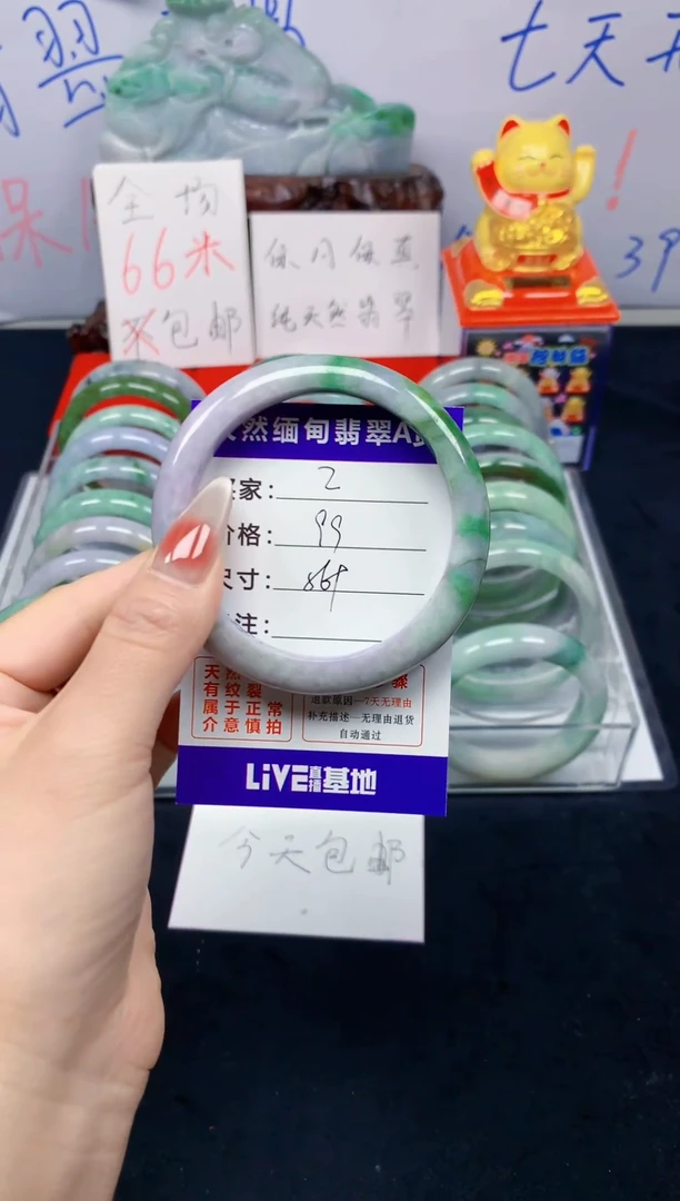 未镶嵌手镯翡翠2