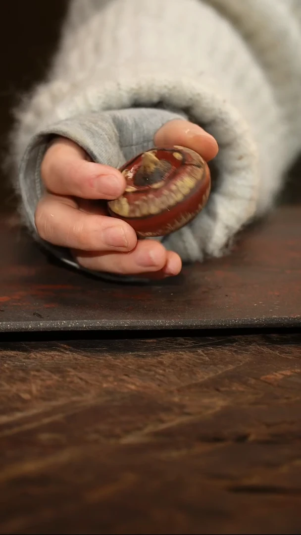 紫砂茶叶罐马蹄茶宠