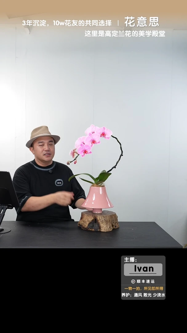 全部花朵006号链接【一物一拍】艺术盆景