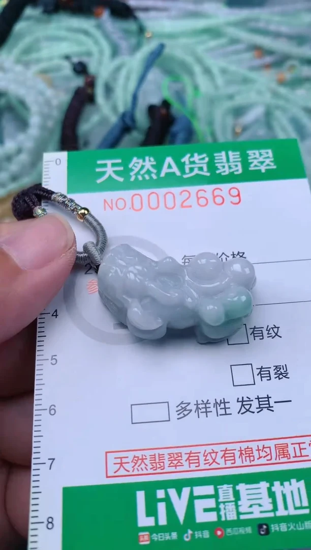 翡翠未镶嵌颈饰.0002669