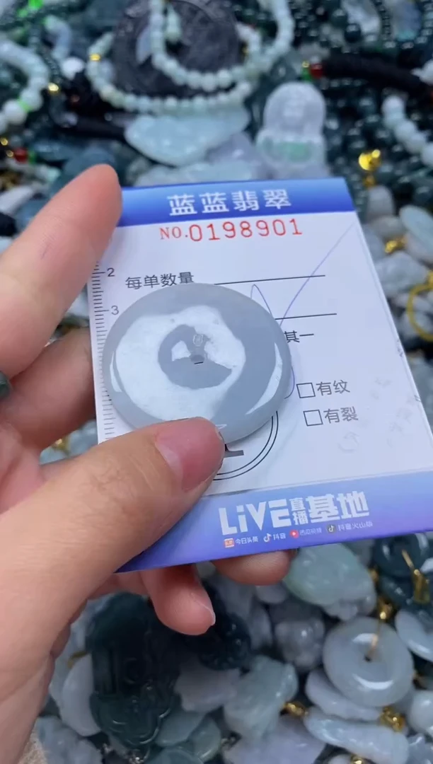 翡翠未镶嵌颈饰闪购0198901