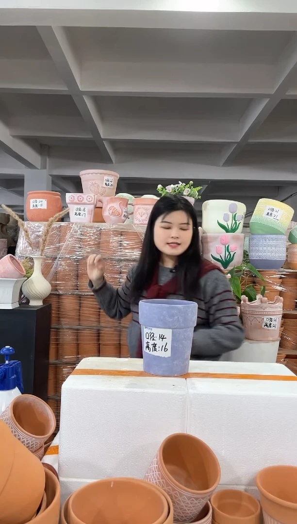 【闪购商品】红陶紫色向日葵14-16