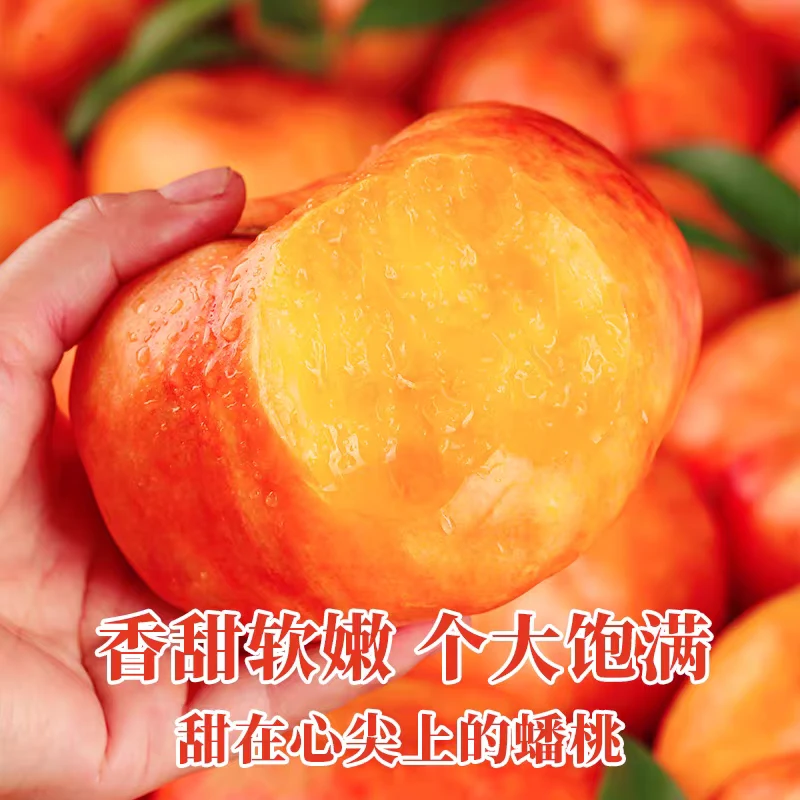 【平谷大桃】平谷本地露天种植黄油桃黄金蜜桃澳油桃1-2箱礼盒装北京市