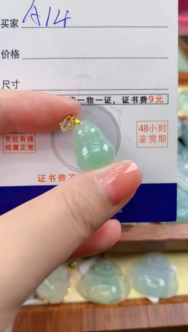 颈饰未镶嵌翡翠天然A货翡翠挂件