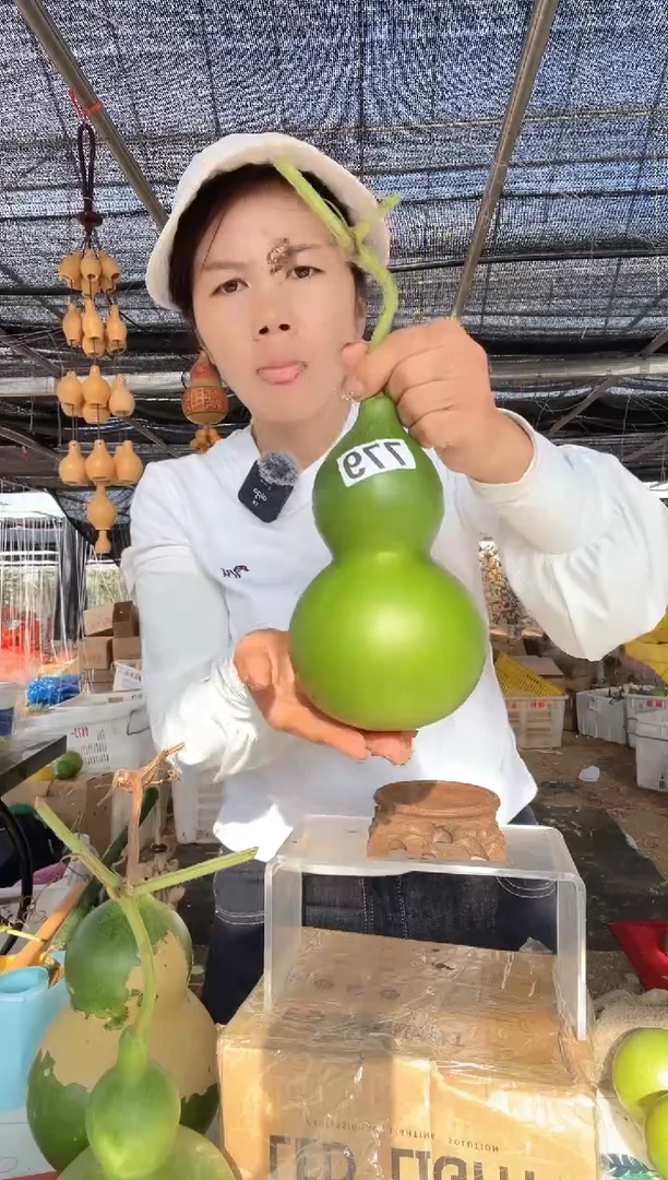 779天然葫芦摆件 一物一拍龙头不保售后