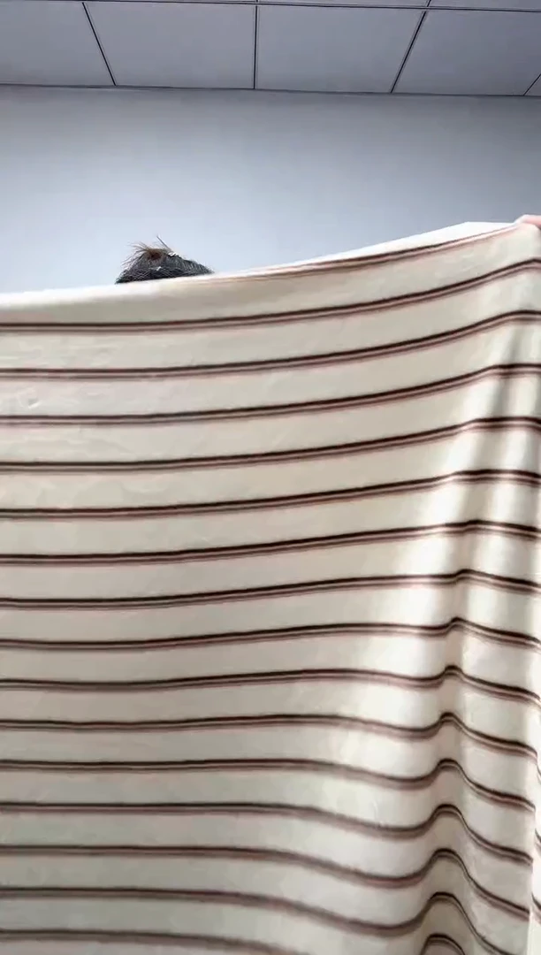 法兰绒3X1.5左右以主播介绍为准