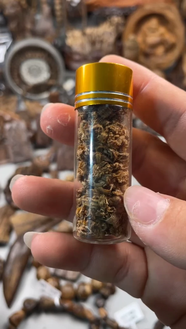 沉香碎屑沉香  越南芽庄  沉香