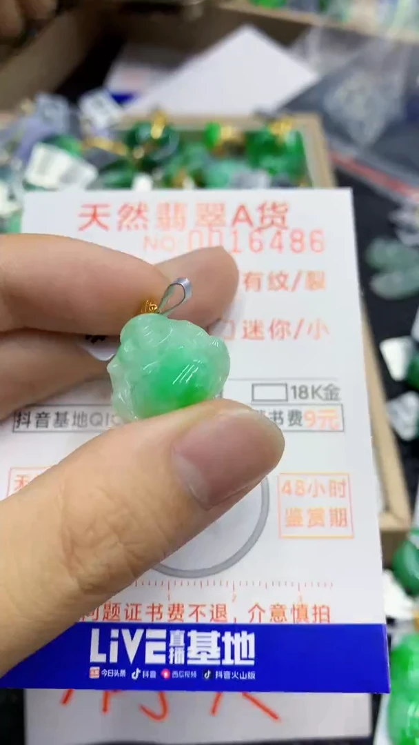 翡翠18K金镶嵌颈饰             8